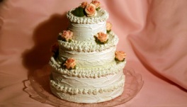 torta finta